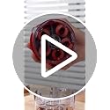 Cherry Pitter Tool for Quick Pitting - Durable & Easy to Use
