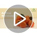 Gresorth Lifelike Artificial Mini Bunch of 5 Orange Tangerines