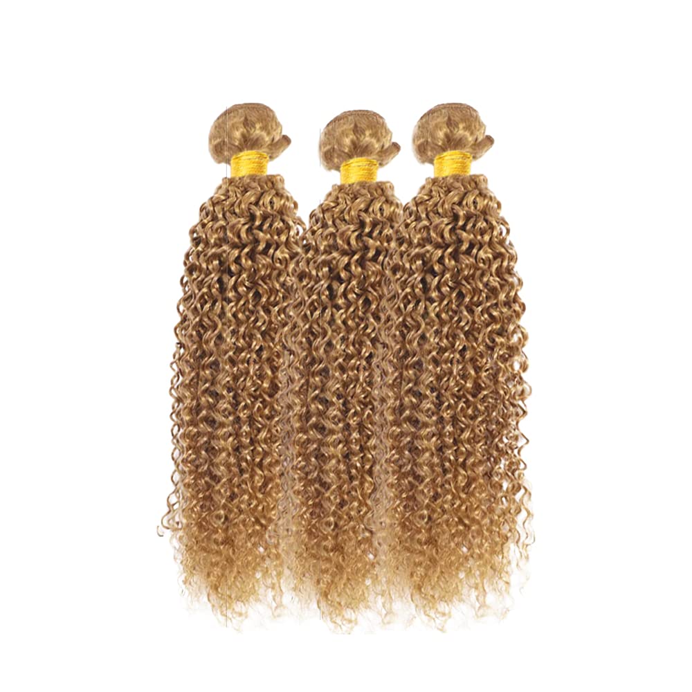 Blonde Bundles Human Hair Honey Blonde Curly Bundle 8A Brazilian Virgin Hair 3 Bundles 20 22 24 Inch Color 27 Bundle Soft Hair Extensions 300g