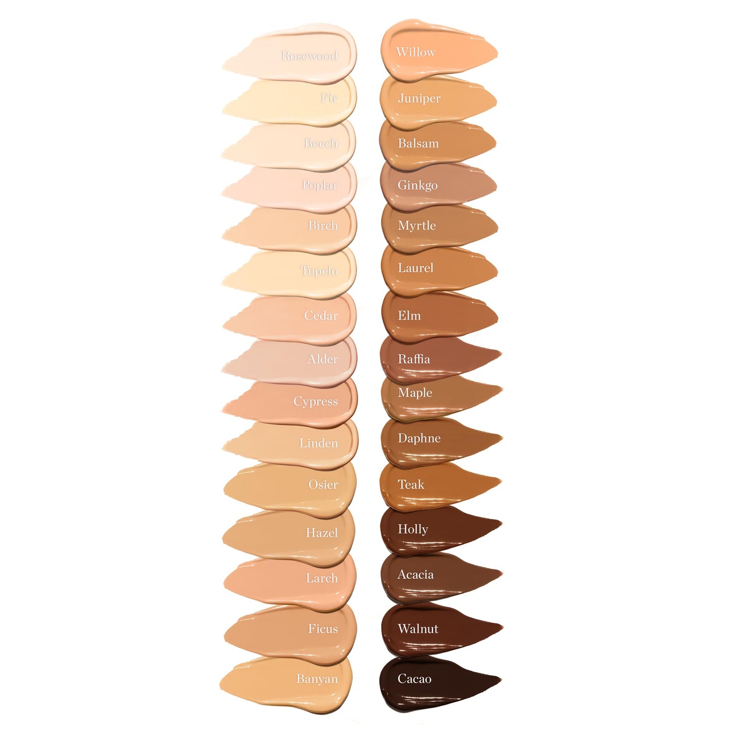 Ogee Complexion Perfecting Under Eye Concealer, ACACIA 12.25N
