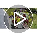 12 Bundles of White Silk Morning Glory Flowers with Eucalyptus - UV Resistant Faux Plants for Outdoor Decoration