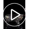 Crystal Glass Ashtray with 3 Notches - Elegant & Easy to Clean