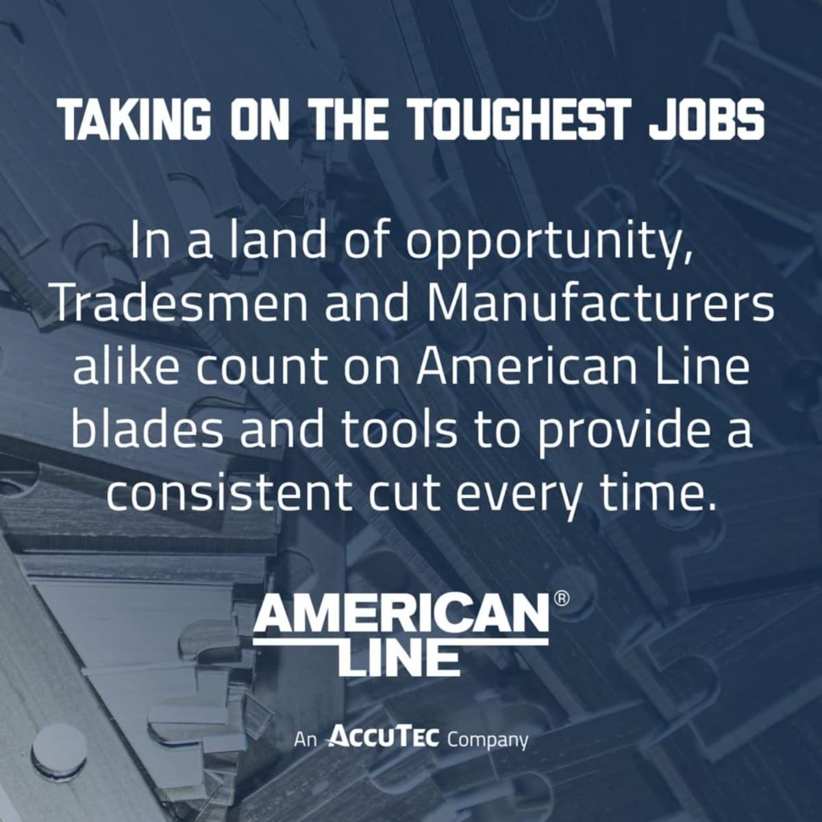AccuTec American Line Single Edge Razor Blades - 1000-Pack - 0.012 Inch Heavy Duty High Carbon Steel with Steel Backing for Extra Durability and Long Life - 66-0412-10P