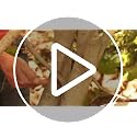 Fiskars Stainless Steel Bypass Pruner - Lightweight & Durable