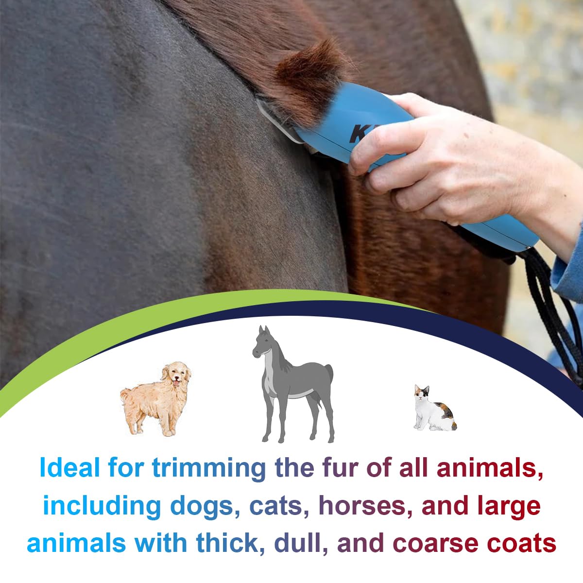 30W Detachable Dog Grooming Wide Blades,Compatible with Andis,Oster A5,Wahl KM10 Series Clippers,Cut Length 1/50”(0.5mm)