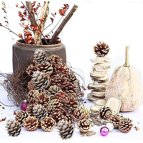 180 PCS Mini Pine Cones - Organic Rustic Ornaments for Crafts