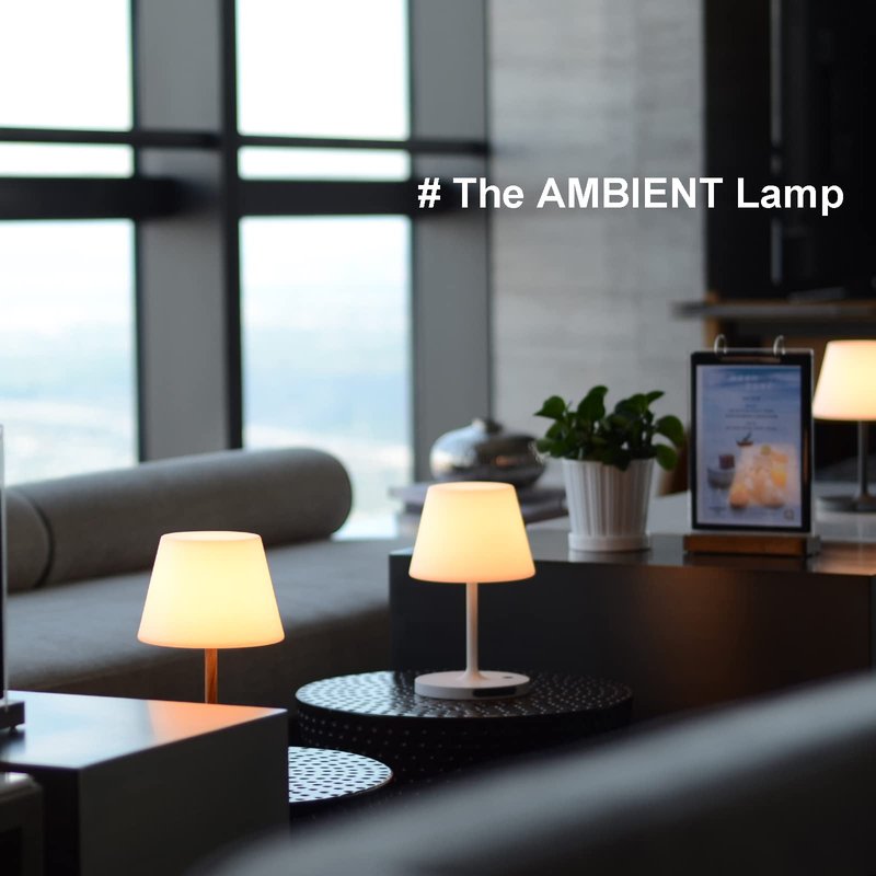 LOTITOL Outdoor Table Lamp/Cordless USB Rechargeable 4000mAh / 2700K LED/Touch Dimmable/Portable Battery Operated / IP44 Waterproof/PE Shade/Bedroom Dinning Camping Patio (9.6in, Dark Grey)