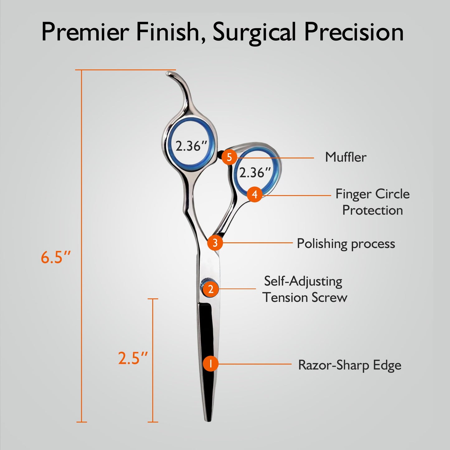 BQUFQ Stainless Steel Hair Cutting Scissors 6.5 Inch Hairdressing Razor Shears Professional Salon Barber Haircut Scissors, One Comb Included, Home Use for Man Woman Adults