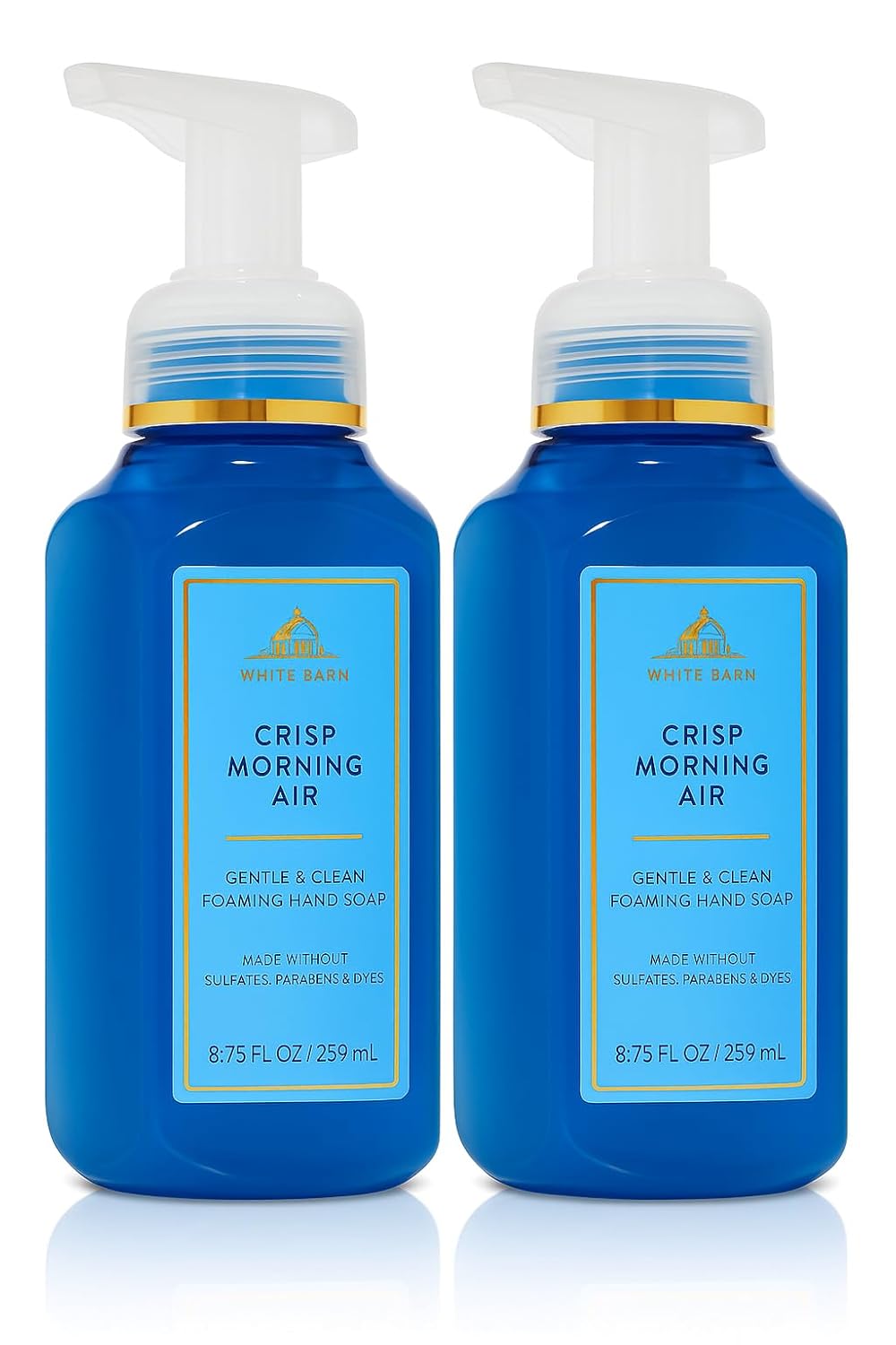 Gentle & Clean Foaming Hand Soap - Crisp Morning Air | 2-Pack, 8.75 Ounce