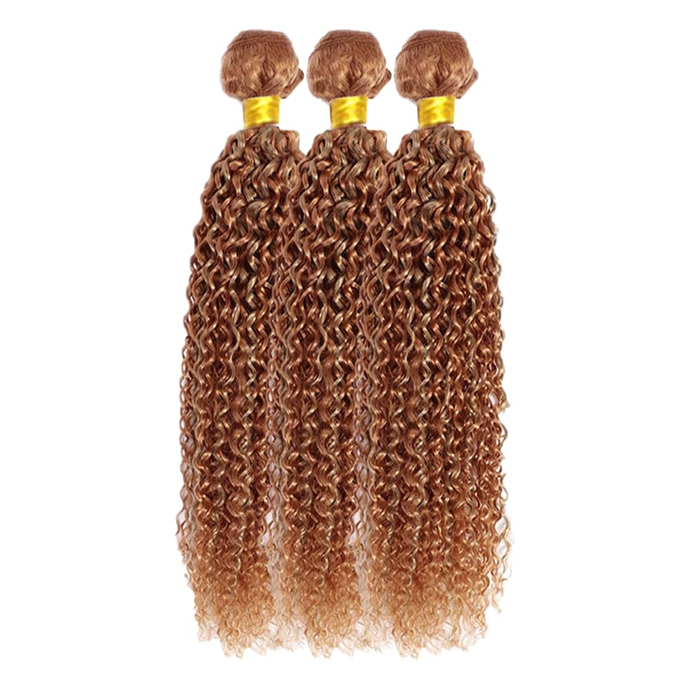 P27/30 Blonde Bundles Water Wave Bundles Human Hair 28 30 32 Inch #30 Light Brown Water Wave Bundle Unprocessed Brazilian Virgin Weave Hair 3 Bundles 100 Gram Per Bundle