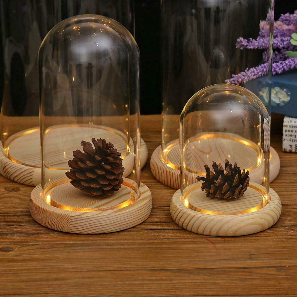 Nynelly 3.54" D X 4.33" H Clear Glass Dome Cloche with Natural Wood LED Lights Base, Display Bell Jar Ornament,Countertop Bell Jar Display Dome Clear Glass Display Case Deco