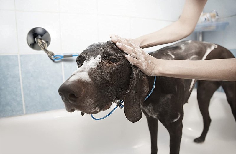 Furzone Dog Durable Bathing Grooming Shower Restraint Heavy Duty Bath Tether Leash with Suction Cup Dogs Blue