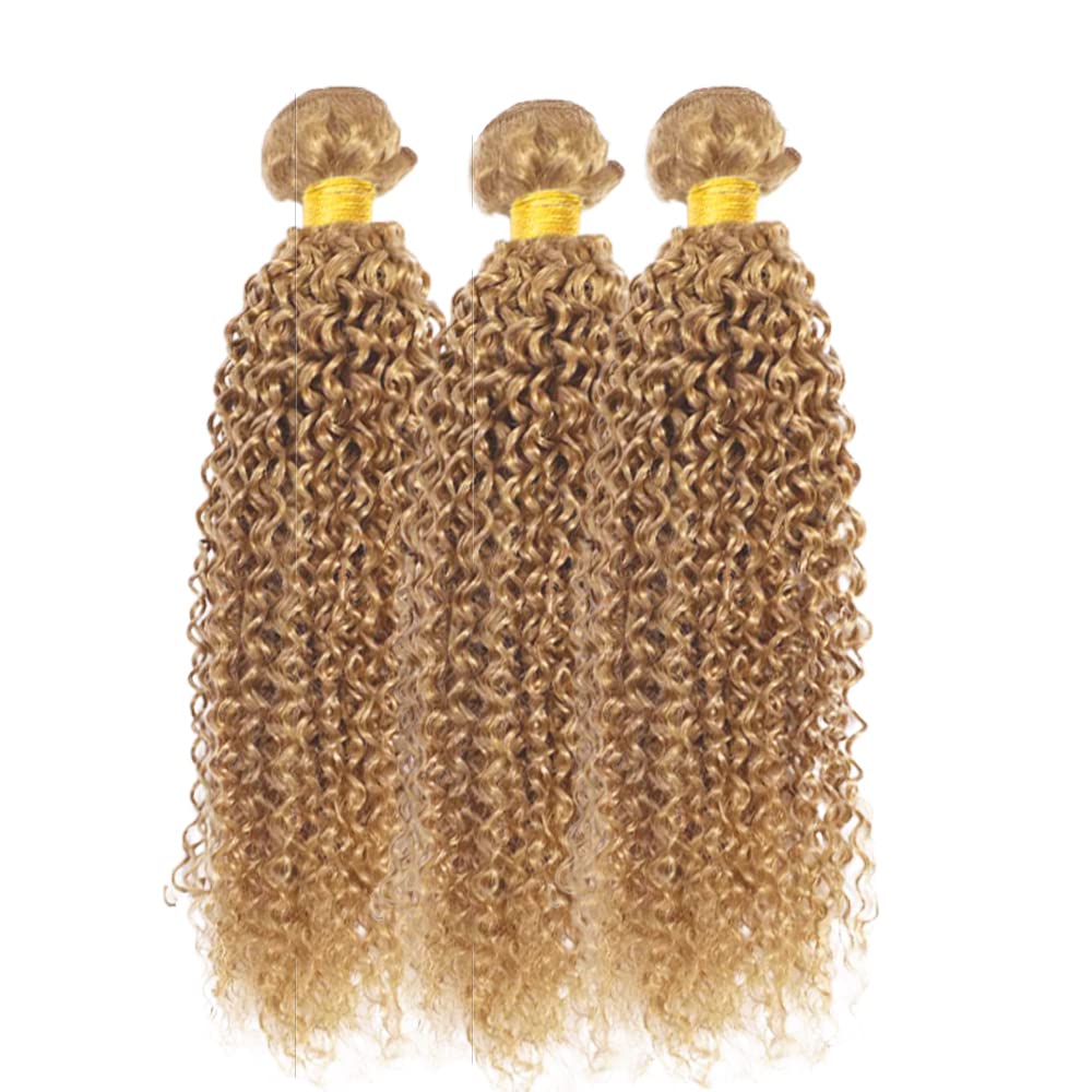 AuokMar Honey Blonde Human Hair Bundles Color 27 Kinky Curly 3 Bundles 26 28 30 Inch 8A Peruvian Virgin Hair Double Weft Blonde Hair Extensions 300g
