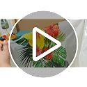 Irenare Hawaiian Luau Tablecloths - 3 Pack, 54x108 in, Tropical Design