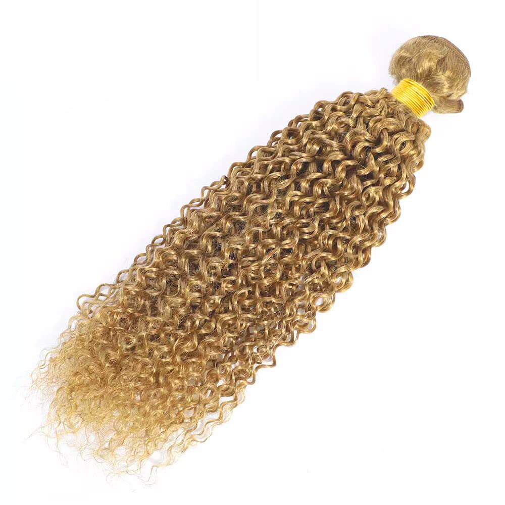 100g Blonde Bundles Human Hair 27 Kinky Curly Bundles Honey Blonde Bundle 16 inch #27 Wet and Wavy Human Hair Bundle