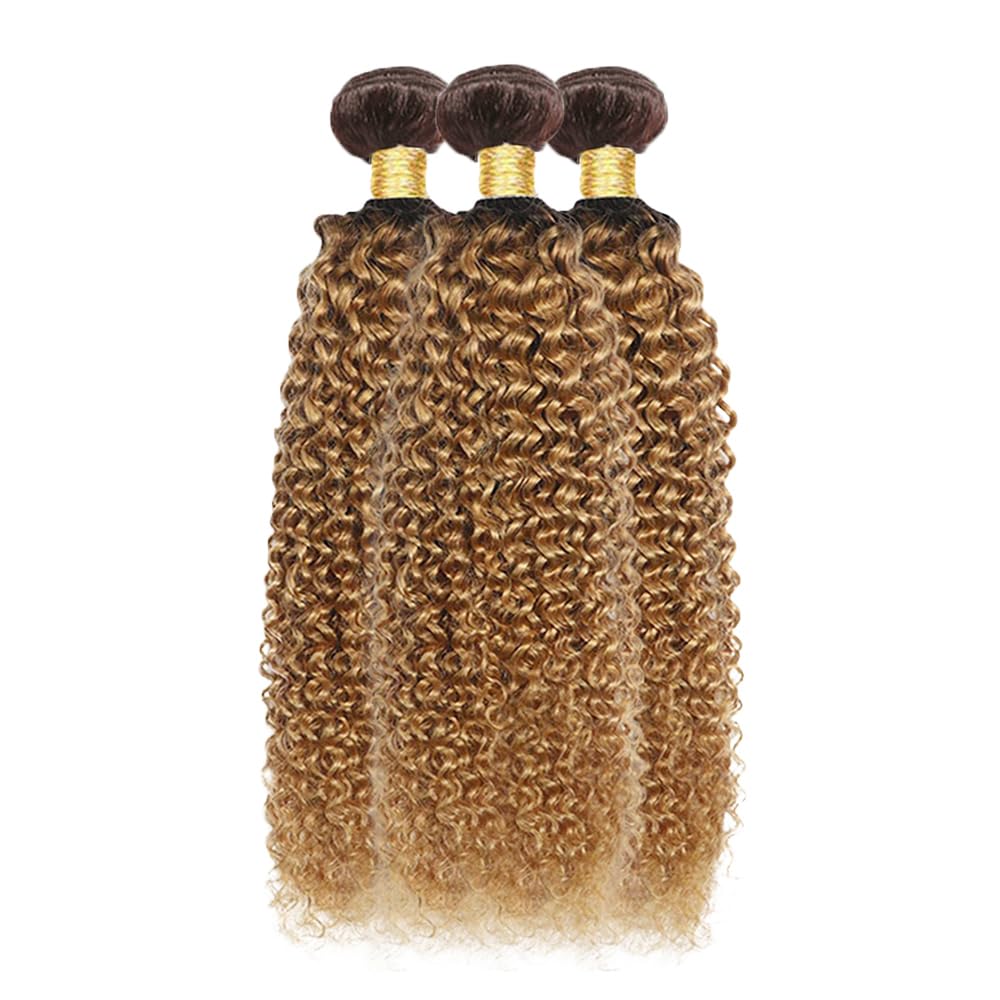 Ombre Human Hair Bundles T4/27 Kinky Curly Bundles Brazilian Virgin Hair 3 Bundles 22 24 26 Inch 2 Tone Brown and Honey Blonde