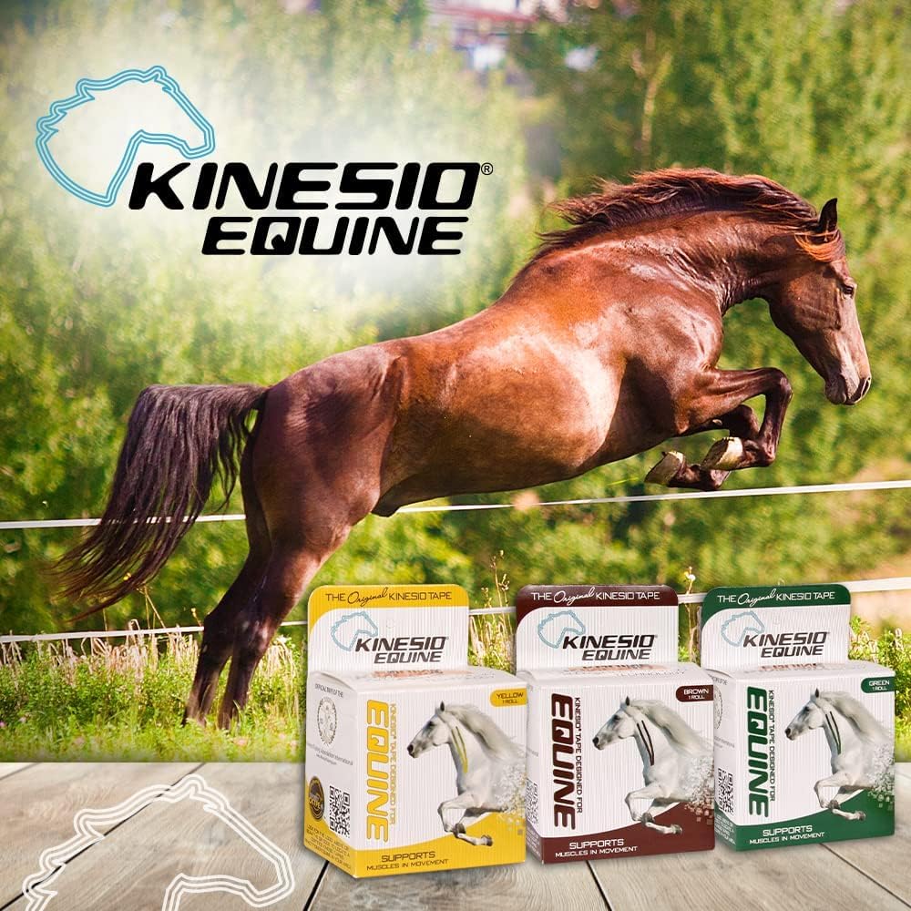 Kinesio Equine Tape - Tex Gold FP Horse Tape -Tape Made Specifically for Horses - 2”x 16’ Rolls - Yellow