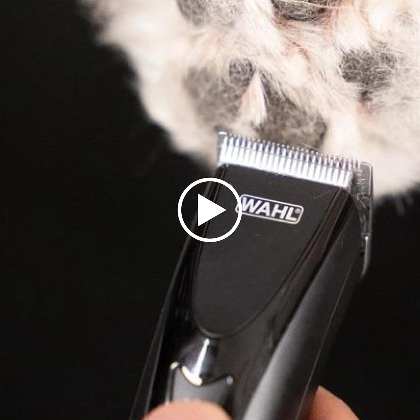 Wahl Pro Animal Stainless Steel Attachment Guide Comb Set for Detachable Blade Clippers - KMC+, KM10+, KM2+, KM Velocity, Supera, Inspire, Thick-Curly - Pet, Dog, Cat, & Horse Grooming - Multicolor 1