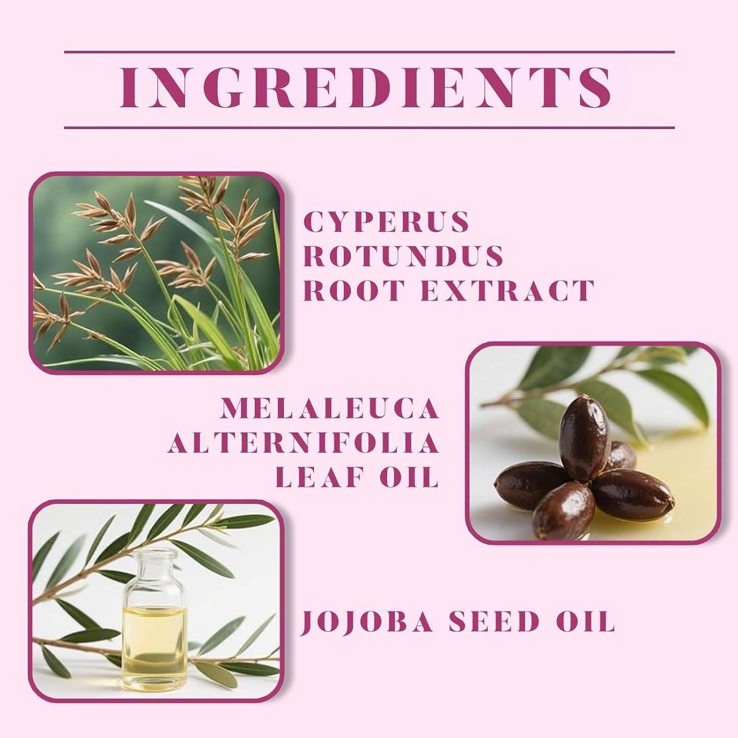 Cyperus Rotundus Oil for Hair Removal - Moisturizes & Soothes Skin | 1PC