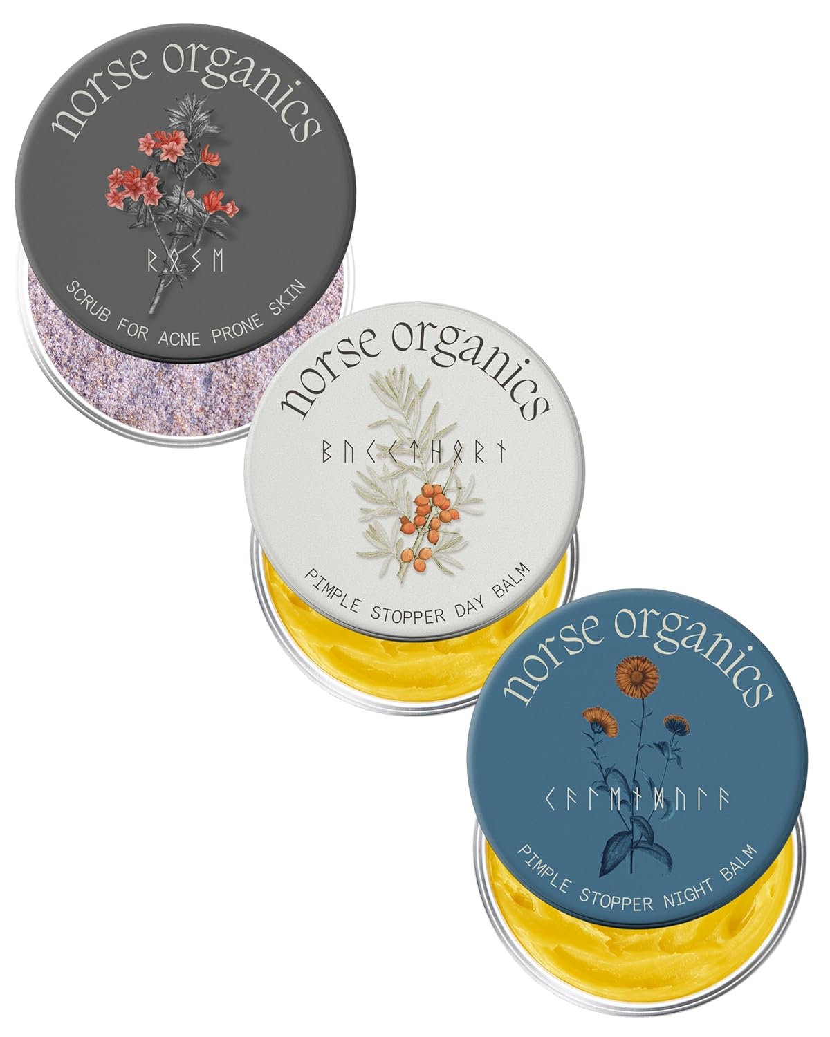 Norse Organics Complete Pimple Treatment Kit - 4 Step Skincare System with Natural Arctic Herbs | Day & Night Balms, Scrub, Scar Balm | All Skin Types (4 pcs)