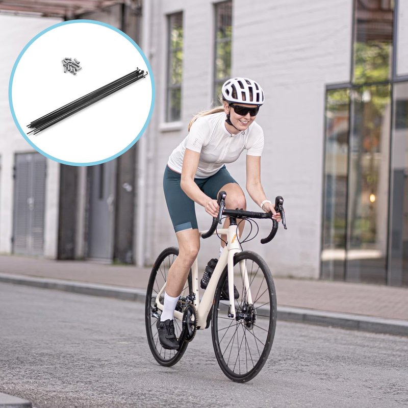 Alrhso 12pcs 290mm/11.4inch Stainless Steel Spokes Mountain Bike/Road Bike Steel 14G Spokes Black with 12mm Nipples