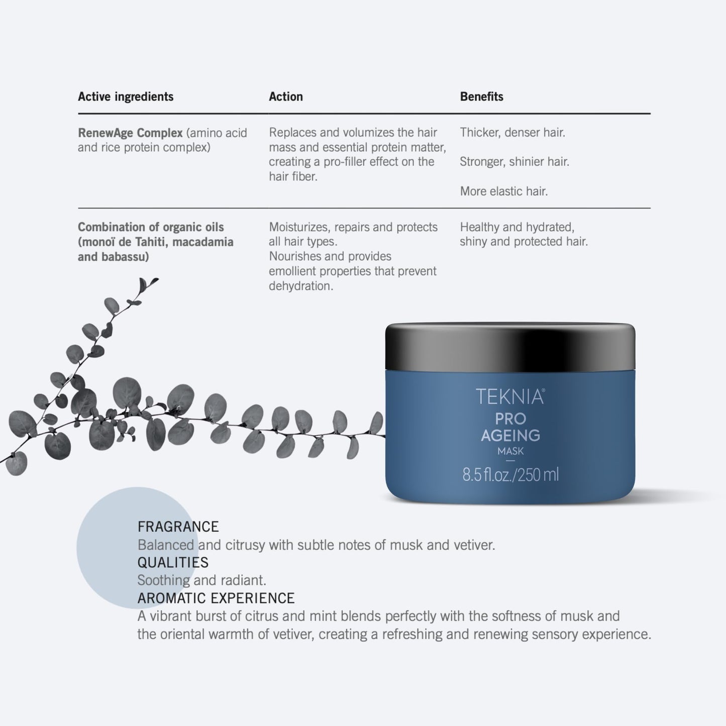 Lakmé Teknia Pro-Ageing Mask, Amino Acid Enhanced Strengthening Hair Mask for Rejuvenating Hair, 8.5 Fl Oz
