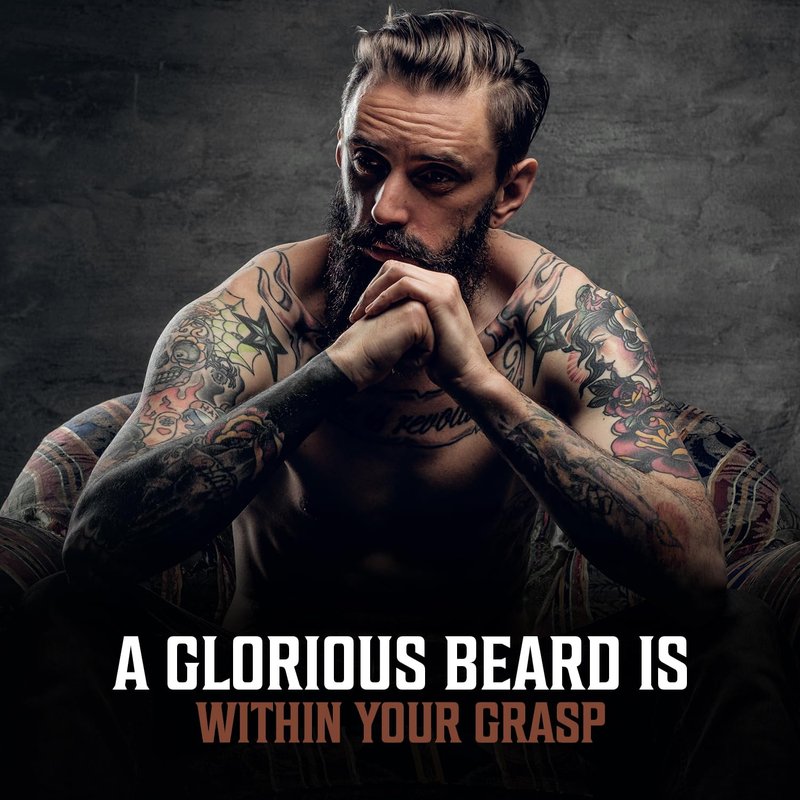 Viking Revolution Beard Oil for Men 3 Pack - Natural Mens Beard Oil Variety Set 2 - Sandalwood, Unscented and Bay Rum Scents - Beard Conditioning and Moisturizing for a Healthy Beard (3 Pack, 1oz)