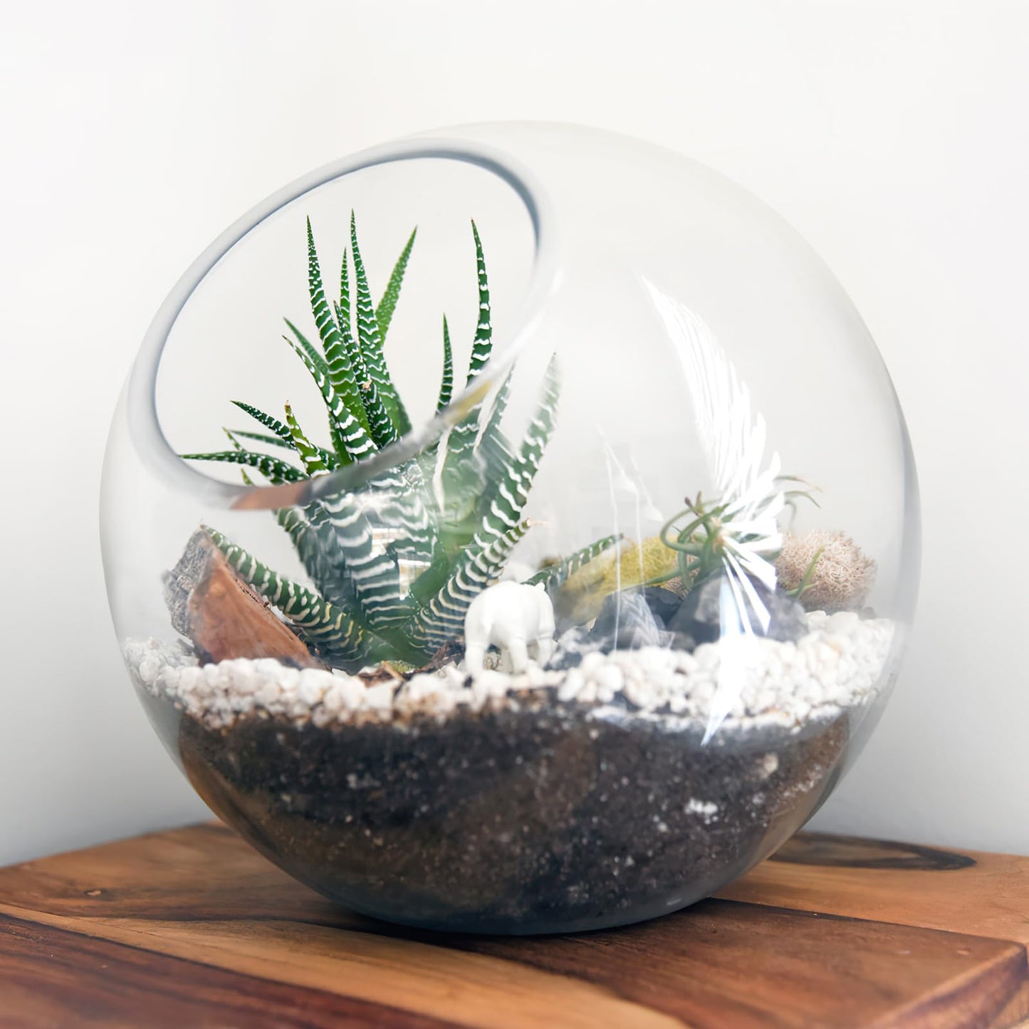 Healeved 3PCS Glass Terrariums for Plants Glass Fish Bowls Plant Terrarium Air Plant Planter Desktop Bubble Bowls Clear Vases Air Plants Holders Succulent Terrarium
