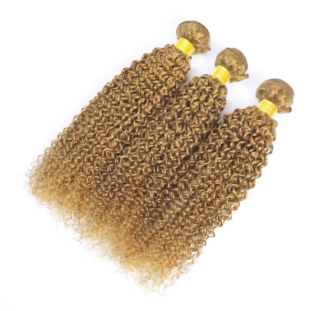 28 28 28 inch Blonde Bundles Human Hair #27 Kinky Curly Bundle Honey Blonde Human Hair 3 Bundles