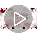 Burgundy Floral Tablecloths - 3 Pack 108x54 inch for Birthday Parties