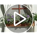 12pcs White Baby's Breath Artificial Flowers - Realistic Faux Gypsophila for Home Decor & Weddings