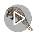 Brass Pangolin Statue - Unique Retro Decorative Figurine for Home & Office