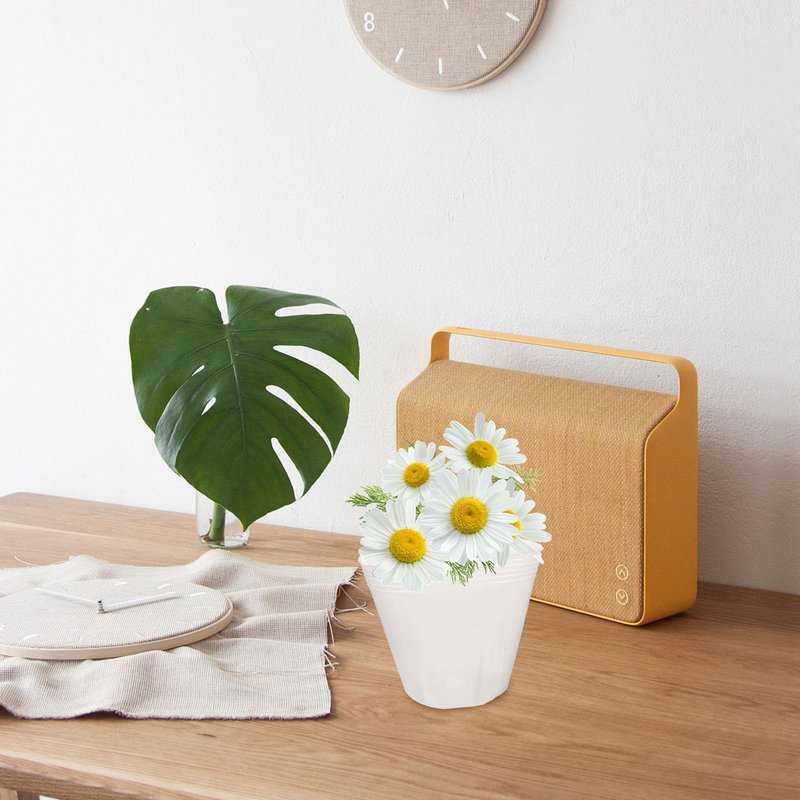 POPETPOP 10 Pcs Flower Pot Liner, 5.7 Inch Plant Pot Saucer, Plastic Round Flower Drip Tray for Indoor Outdoor, Transparent Plant Pot Liner, Nursery Pot Liner