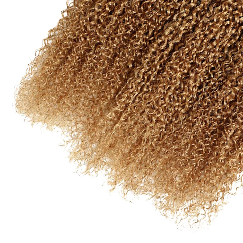 Ombre Human Hair Bundles 1b27 Honey Blonde Kinky Curly Bundles 16 18 20 Inch Unprocessed Brazilian Virgin Hair 3 Bundle Honey Blonde Bundle