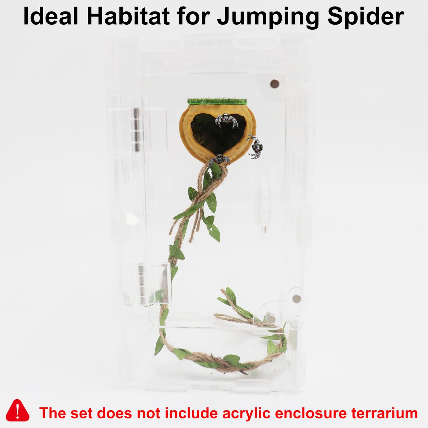 Magnetic Jumping Spider Hide Habitat, Jumping Spider Accessories, Jumping Spider Enclosure Accessories Decor, Climbing Platform, Suitable for Small Insects (2"X1.9")