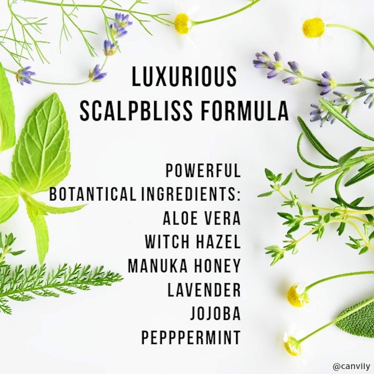 ScalpBliss Itch-Calming Serum - Long-Lasting Moisturizer for Dry, Itchy Scalp | Enriched with Aloe Vera & Peppermint Oil