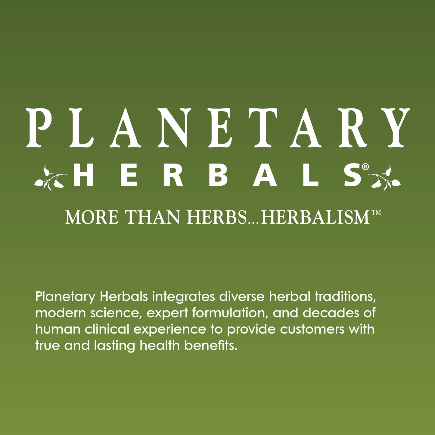 Planetary Herbals Horse Chestnut Cream Tonifier - 4oz