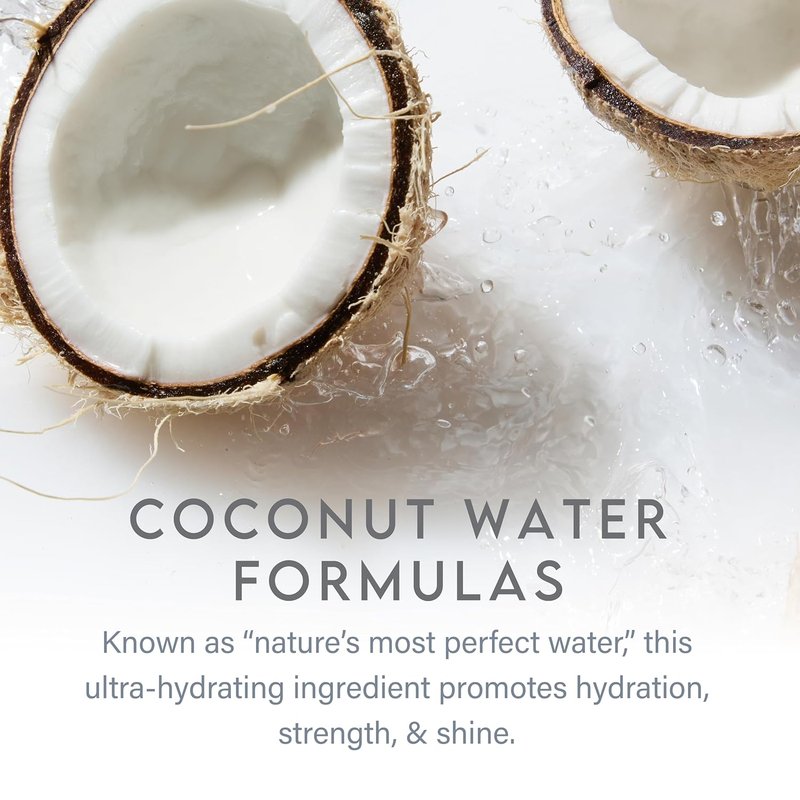 Coconut Water Moisturizing Shampoo - Clean Hydration & Shine for Medium to Coarse Hair | 12 Fl Oz
