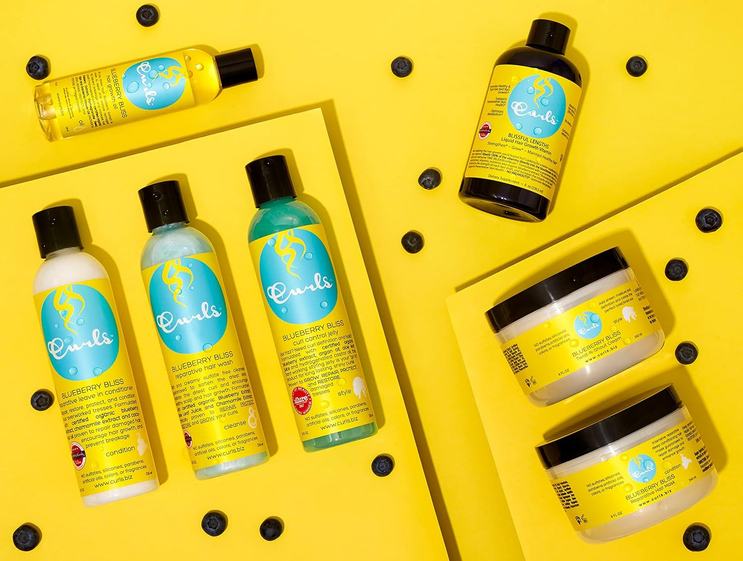 Aloe & Blueberry Curl Moisturizer - Revive Curly Hair with Organic Extracts | 8oz Curl Refresher Spray