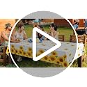 Kochorie Sunflower Tablecloths - Disposable Plastic Covers, 3 Pack, 54x108 Inches