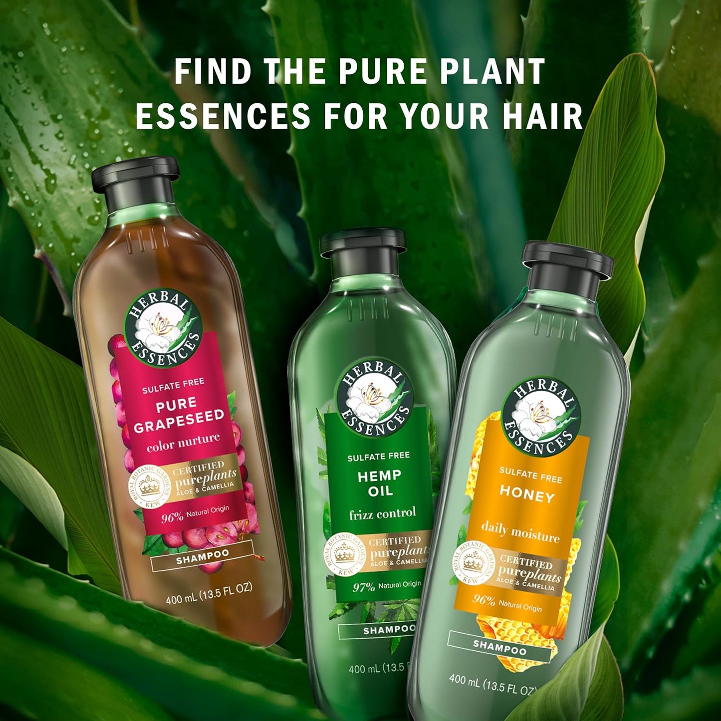 Herbal Essences Bio: Renew Hemp Shampoo - Sulfate-Free Frizz Control | 13.5 Fl Oz