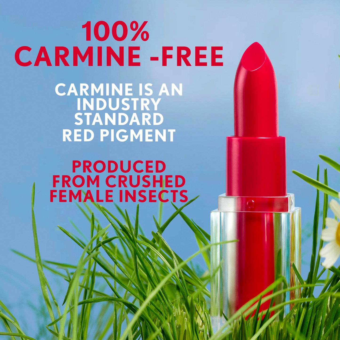 CoverGirl Clean Lip Color, Cocoa Whirl, Satin Finish, Squalane, Avocado & Aloe, Carmine-Free, Non-Drying, 0.12oz
