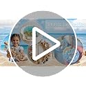 1800 Pcs Mini Seashells and Starfish for Crafts - 25 Types