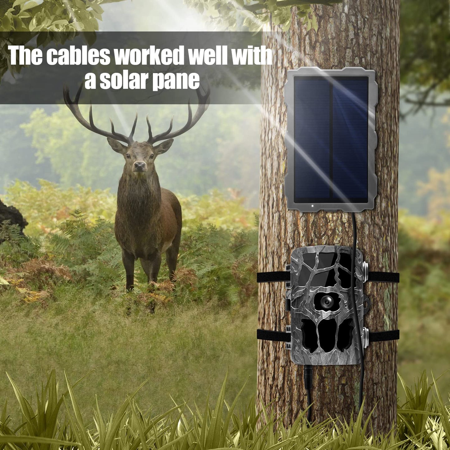 Yoizyfree 2 PCS Trail Camera Power Cord,5.5x2.1mm DC External Power Cable Compatible with Spypoint,Stealth Cam,Moultrie,Muddy Trail Camera,5.5x2.1mm DC Plug
