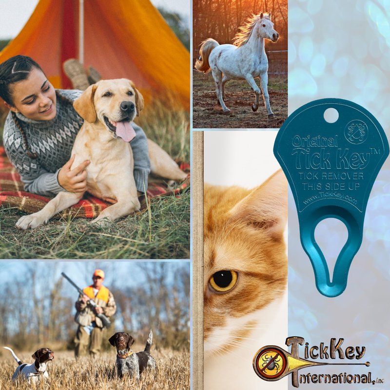 The Original Tick Key -Tick Removal Device - Portable, Safe and Highly Effective Tick Removal Tool - 3 Pack (USA)