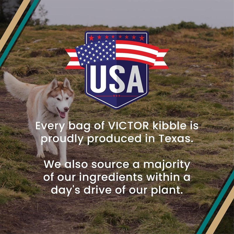 VICTOR Super Premium Dog Food - Hi-Pro Plus High Protein Kibble for Active Dogs & Puppies | 30lbs, Gluten-Free