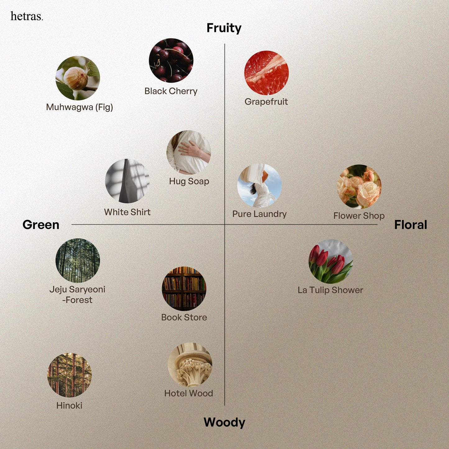 hetras Premium Reed Diffuser Set (Jeju Saryeoni Forest Scent)–Large Capacity Home Fragrance | 16.9 fl.oz (500ml), 1 Pack with 5 Reed Sticks | Citrus & Cedarwood Aroma | Luxury Decor for Home & Office