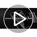 Lexenic Stainless Steel Cocktail Picks - Reusable Martini Skewers with Elegant Design