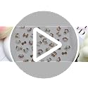 36pcs Kawaii Cat Nail Art Charms - 3D Resin Y2K DIY Accessories