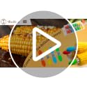 VinBee 8 Pairs Corn on the Cob Holders Set with Interlocking Design